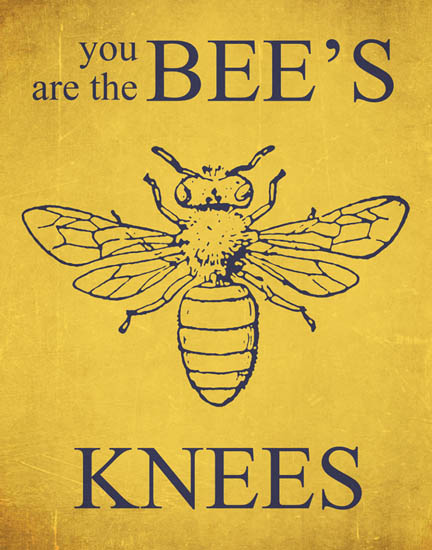 you-are-the-bees-knees