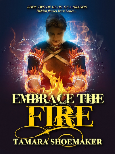 Embrace The Fire